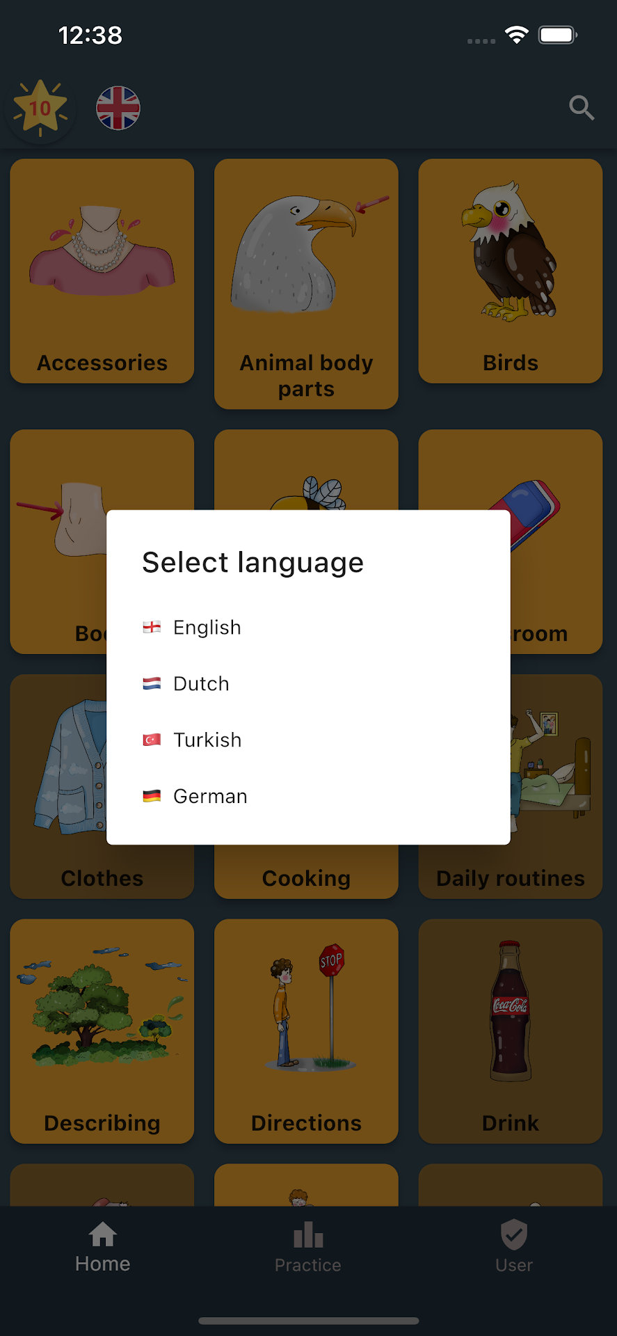 LingoLangu screenshot n.3