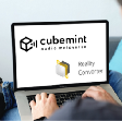 Man sitting with laptop on lap. The screen shows the logos of Cubemint and Reality Converter.