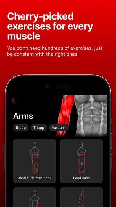 Weller: Gain Muscle with Bands screenshot n.4