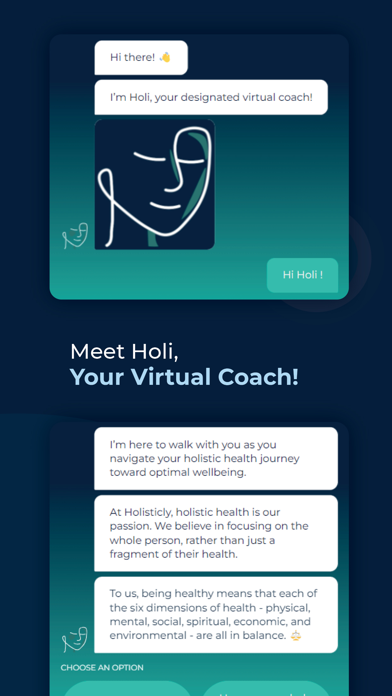 Holisticly screenshot n.5