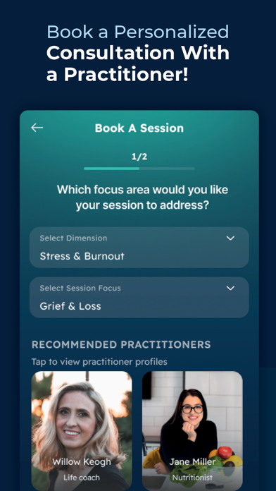 Holisticly screenshot n.3