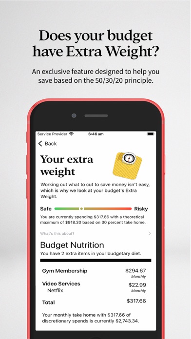 simplsaver - budget better screenshot n.8