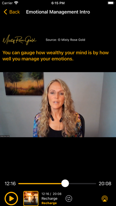 Wealthy Mind screenshot n.9