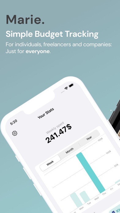 Marie: Budget Tracking screenshot n.1