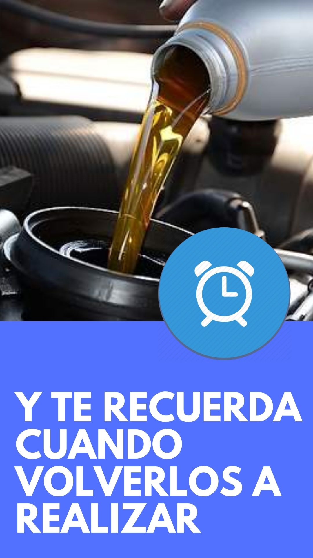 MotorApp - Revisiones vehículo screenshot n.2