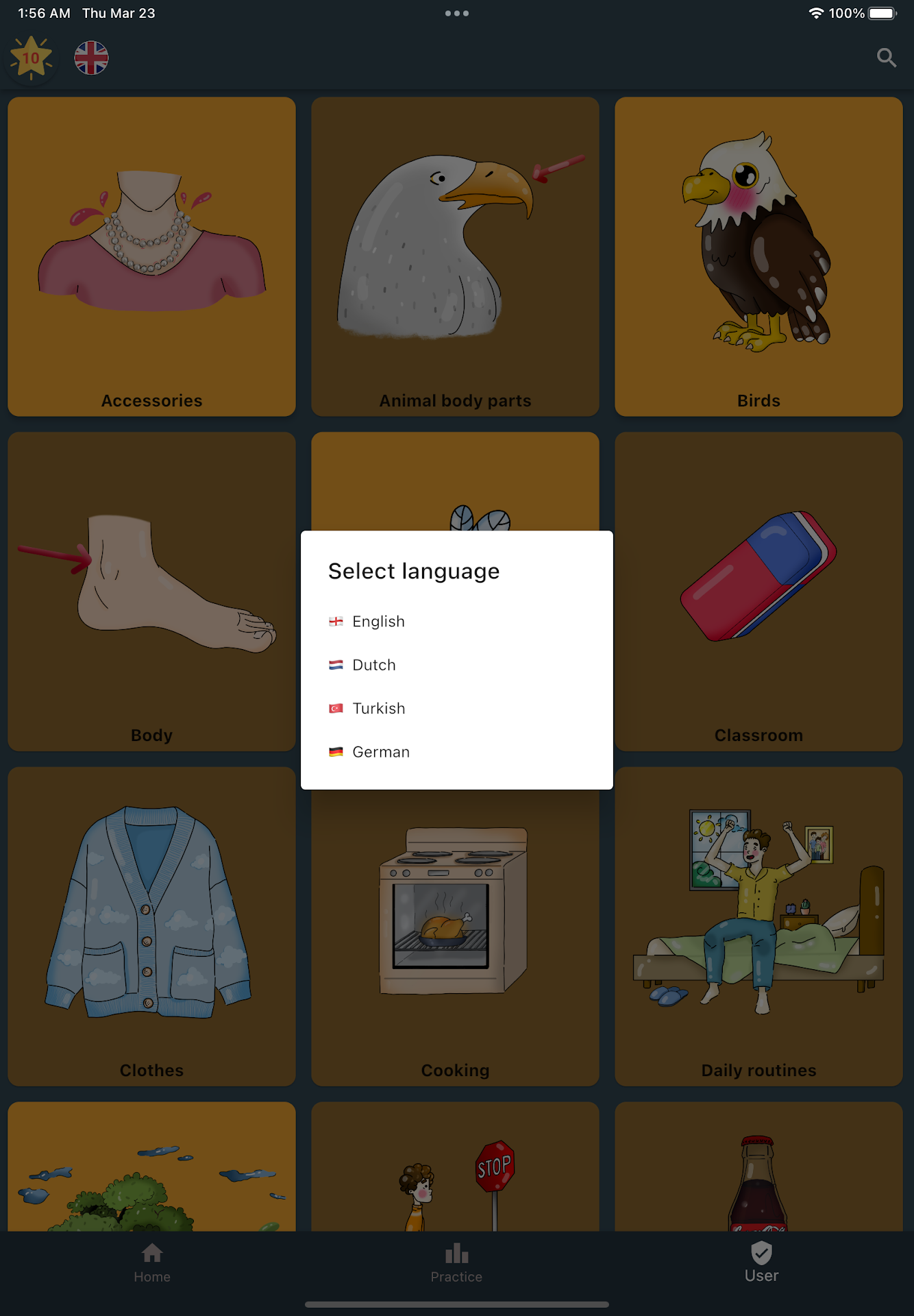 LingoLangu screenshot n.12